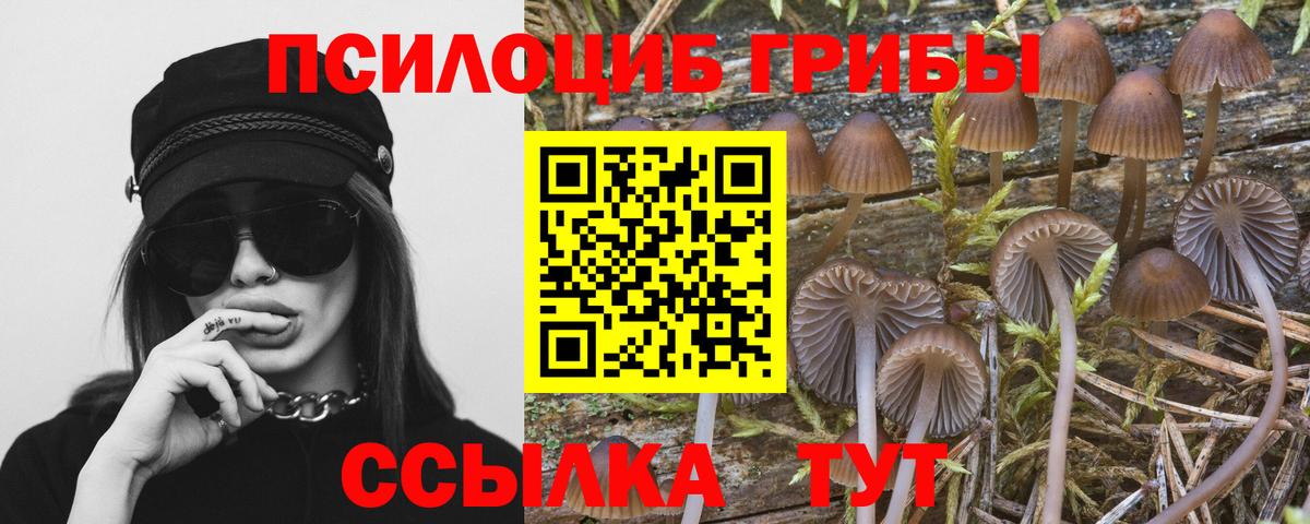 Галлюциногенные грибы MAGIC MUSHROOMS Павлово