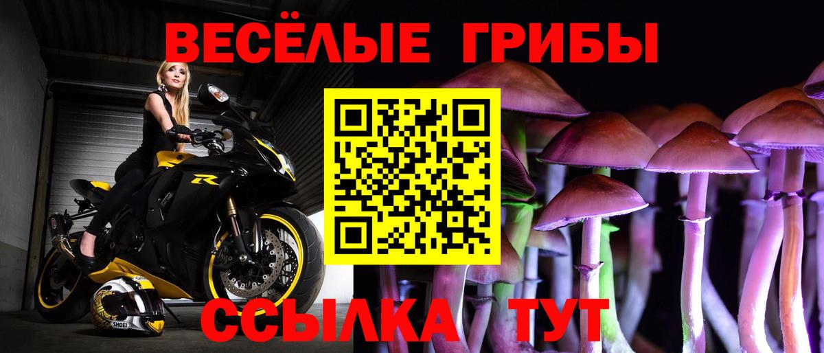 Галлюциногенные грибы прущие грибы  Вход с VPN  Павлово  Псилоцибиновые грибы мицелий 